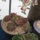 모두농장 이미지