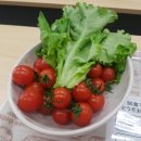 현LED조명