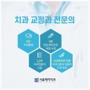 서울정치과 - 강서구 강서로 247 | 서울정치과