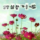 멋진하루 이미지