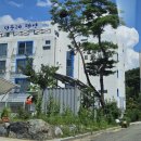 민들레미코 이미지