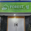 포레스트쉼 이미지