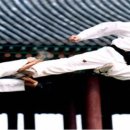 대한민국태권도장 이미지