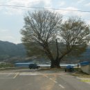 무정면사무소 이미지