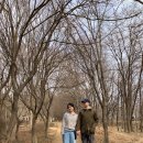 광주시민의숲 야영장 이미지