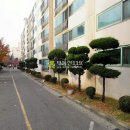 상오정로182번길 이미지