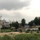 간짜장이 맛있는 원주 향교짜장