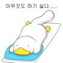 오늘 그린 이미지