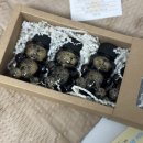 아카페(Acafe) | [아카페 콜드브루] 귀여운게 맛도 좋고 값도 좋은,아카페 내맘대로 DIY 미니 곰돌이 더치세트