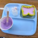 파주 나비나라박물관 | 파주/일산 아이와 갈만 한 곳 - 나비나라 박물관