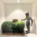 한국차박물관(소리문화공원) | (보성) 한국차 박물관 갔다 왔어요~