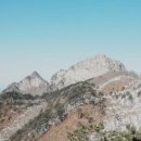 충주공용버스터미널(주) 이미지