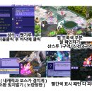 샤흐메
