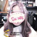 헤어퍼플미용실 - 창원시 성산구 | 헤어퍼플미용실