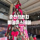 만천로 L | 춘천카페 내돈내산 올데이스테이 l 테지움과 콜라보한 대형트리 l 브런치 오픈런 후기