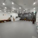 포우포우 반려견 유치원 이미지