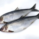 청어람로 이미지