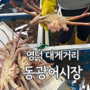 영덕대게거리 | [영덕/강구항]대게거리 가격,주차,포장후기