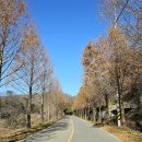 구름재 박병순 시비 이미지