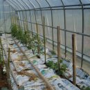 둥지민박 이미지