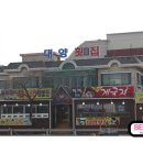 안면도 맛집, 싱싱한 활어회를 맛볼 수 있는 대양횟집 방문 후기