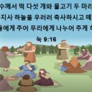 한하람 이미지