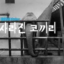 강남대로89길 15 이미지