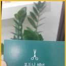 모드니헤어샵 | 마석미용실 남양주 모드니헤어, 트랜디한 머리 스타일의 천국!