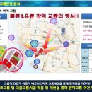 로얄팰리스아파트 이미지