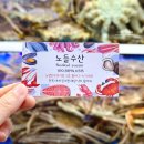 소라약국 | 노량진수산시장 대게 추천 후기 노들수산