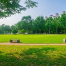 용의발광장 이미지