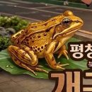 농원건강원 | “그 집은 그거 먹인다더라…” 농구선수 엄마에게 들은 이야기