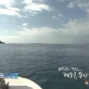 (주)고려인삼공사 이미지