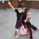 용호도장 이미지