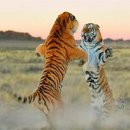 선동 모터스 이미지