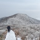 230115 눈꽃산행 덕유산 (설국의 축제) 이미지