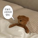 매복사랑니 발치 찐 후기(붓기 기간, 통증, 식사)