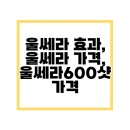 엠제이사우나 | 울쎄라 효과, 울쎄라 가격, 울쎄라 600샷 가격