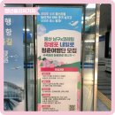 한국철도공사부산경남본부(영양사) | [청년퓰리처기자] 울산 남구 x 코레일 🌸장생포 내일로 청춘여행단🌸 모집 중!