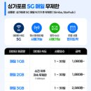 주식회사 심큰 | 싱가포르 여행 준비물 리스트로 여행용 샤워 필터와 멀티 멀티 어댑터는 꼭!