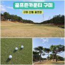 골프존드라이빙레인지공덕점 | 골프존카운티 구미 골프장 라운딩 후기, 2인 3인 플레이 가능 노캐디 야간