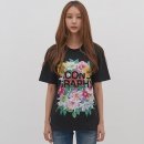 그라피