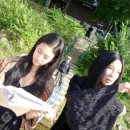 프란체