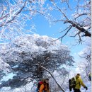 태백산 이미지