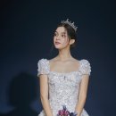 보니타컬렉션