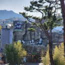 삼성카랜드 | 에버랜드 튤립축제 5살 아이랑 주말 오픈런 후기｜데이트 코스,커플 사진 명소(유모차 동선)