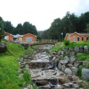 숲에향기 이미지