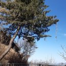 의암호나들길(봄내길 4코스) 이미지