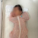 벌본 | 스와들업 몇개 안에 매쉬 밤부 소재 네 벌 입혀본 후기