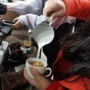 정자커피학원 SCA유럽자격증 후기(느낀점)